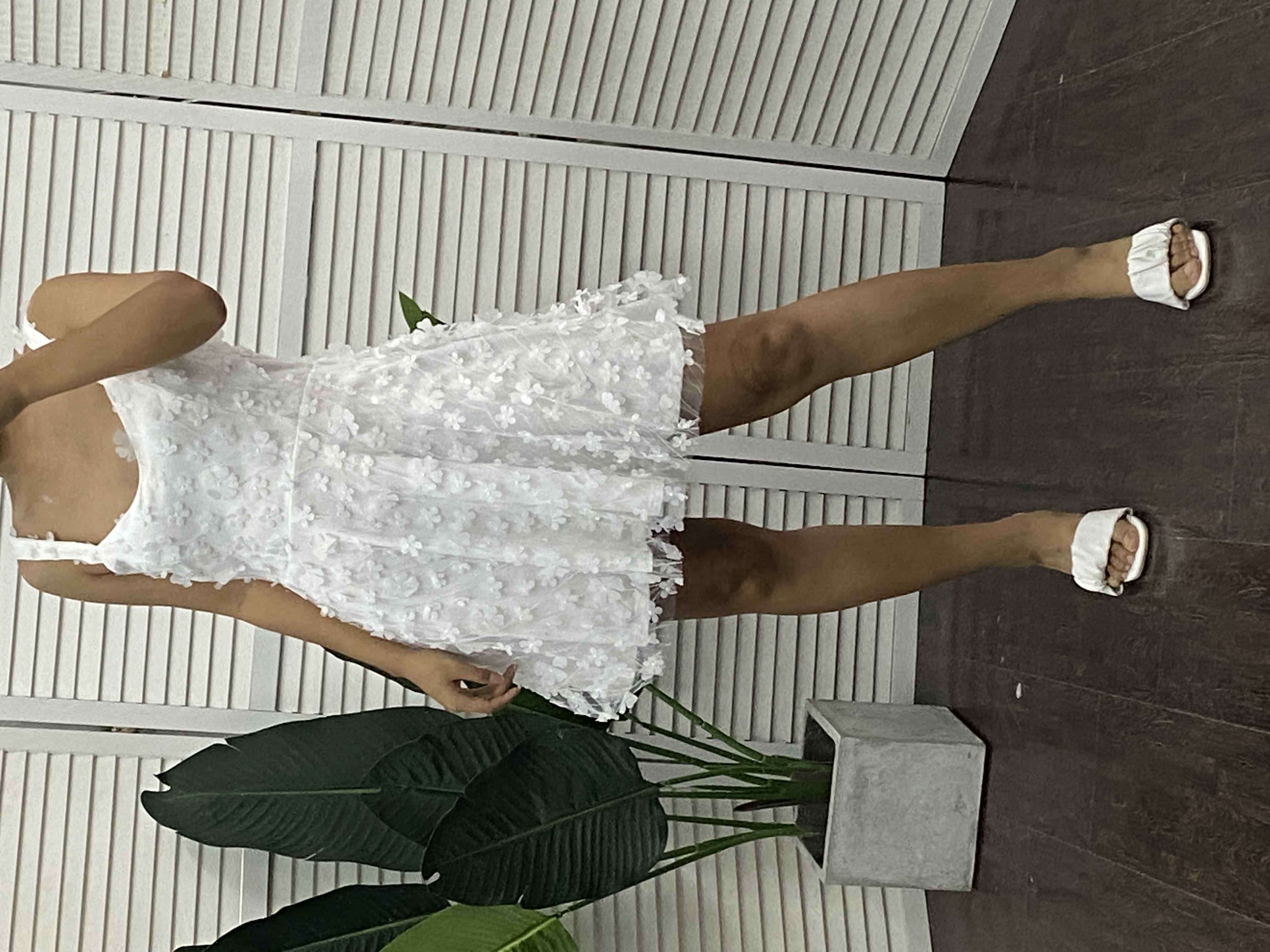 Sheer Mesh Overlay Party Dress