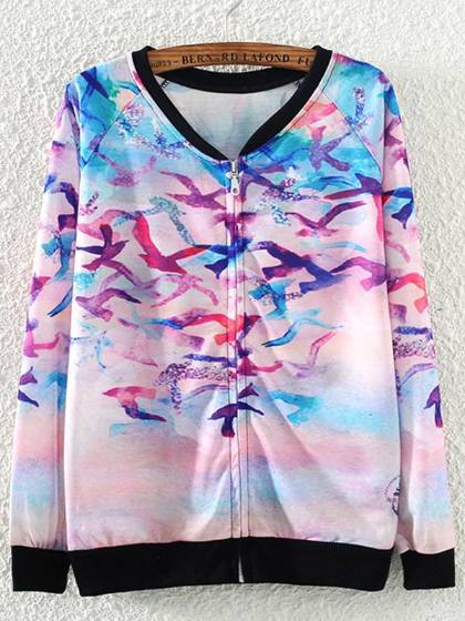Spring Autumn New Fashion Flybird Printing Langærmet Sweatshirt Coat Toppe Baseball Uniform