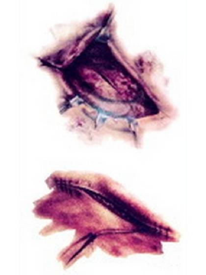 Halloween  Horror  Blood Scar Pattern Waterproof Tattoo Stickers  Decals Temporary Tattoo