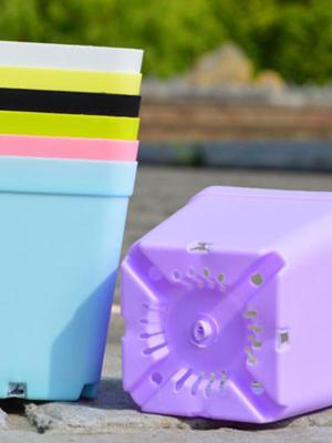 Gardening Mini Plastic Pots Vase With Tray Square Flower Bonsai Planter Nursery Pots Colorful Square Pots