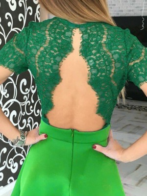 Sexy Fashion Halter Backlee Short Sleeve Lace Dress Casual Dress