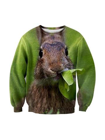 Women's squirrel Patterns Print Roll Neck Pullover Sweatshirts & Hoodies