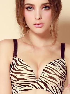 Sexy Ladys Black/Coffee Zebra Print Super Boost Push Up Deep V Side Support Plunge Underwired Bra_Vans
