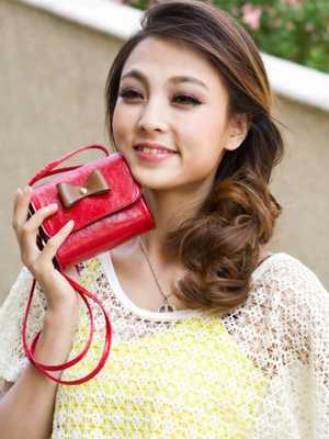 Fashion Bowknot Wristlet Single Shoulder Bag Mini Messenger Bag Clutch Bag Wallet Shoulder Bags