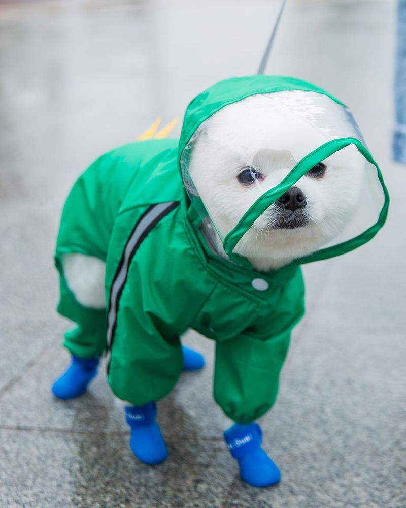 

Cute Pet Dog Raincoat Full Body Coverage with Hat Transparent Brim Reflective Night Light Strip Double Layered Waterproof Rain Jacket, Green