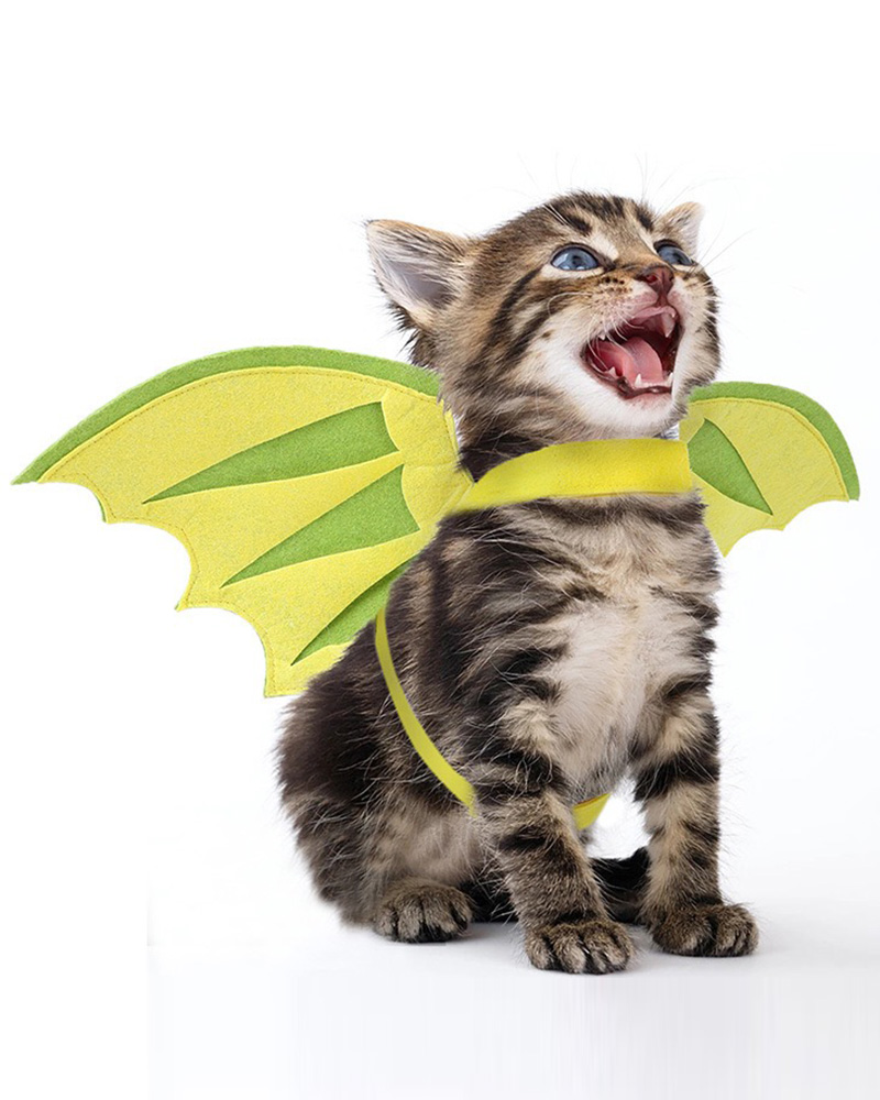 

Pet Wings Halloween Costume Adjustable Dog Cat Transforms Into Pterodactyl Flying Dinosaur Wings for Puppy Kitty Festival Party, Green