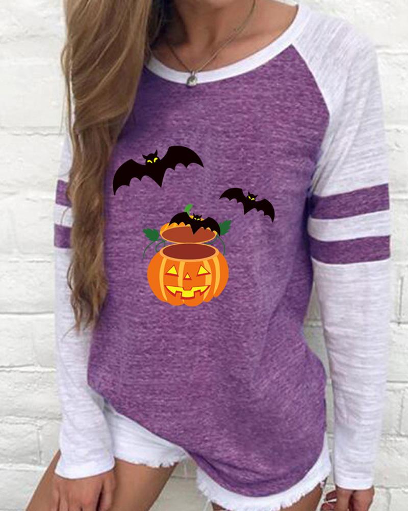 

Halloween Pumpkin Batwing Pattern Colorblock Long Sleeve Top, Purple
