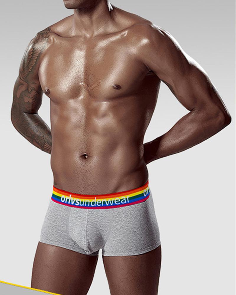 

Solid Color Side Rainbow Striped & Letter Print Low Waist Underpants, Gray