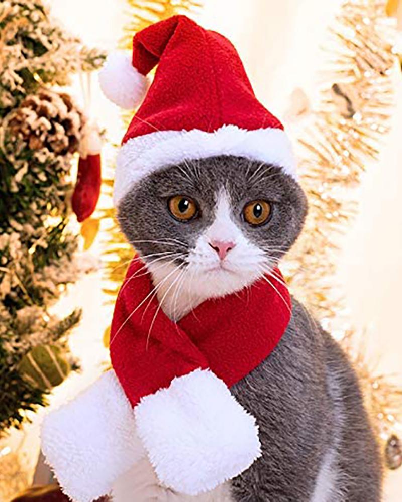 

Christmas Santa Hat With Scarf For Pets, Red