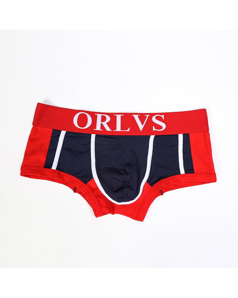 

Color Border Slim High Elastic Underwear Panties, Blue