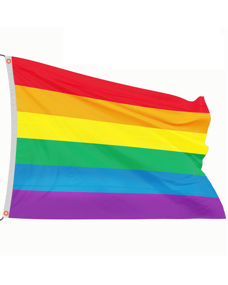 

1pc Rainbow Stripe Graphic Pride Month Decoration Flag, Style1