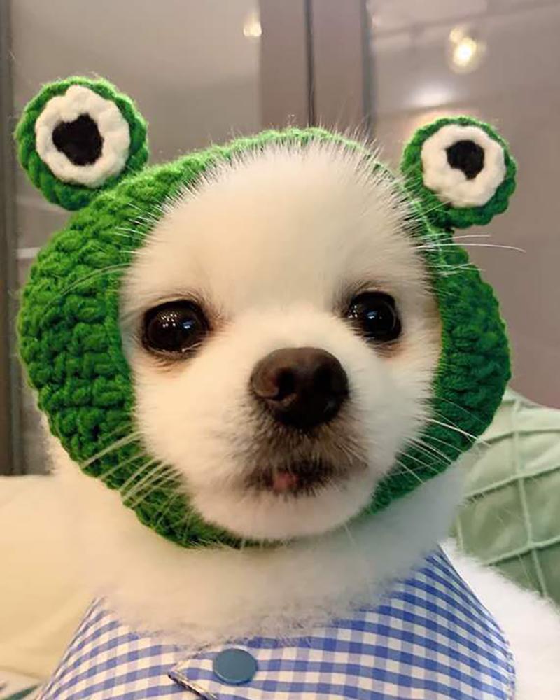 

Pet Crochet Knit Adjustable Cap Big Eye Frog Cosplay Headband, Green
