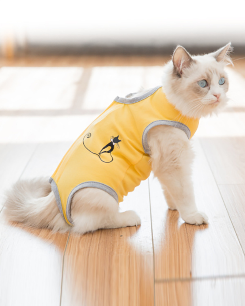 

Cat Wound Surgery Recovery Suit for Abdominal Wounds or Skin Diseases After Surgery Wear for Cats, Yellow