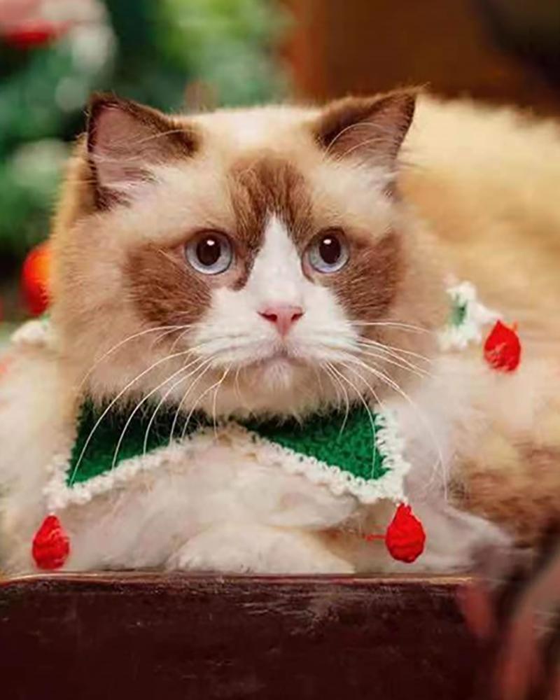 

Christmas Crochet Pom Pom Deocr Pet Scarf Bib, Green