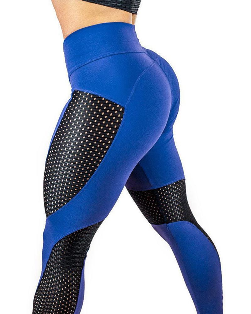 

Sheer Mesh Patch High Waist Quick Dry Yoga Pants, Blue