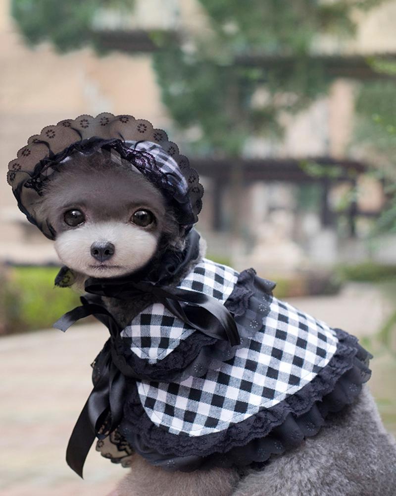 

Victorian Lace Cape Shawl With Bowknot Pet Dogs Clothes Costume, Black