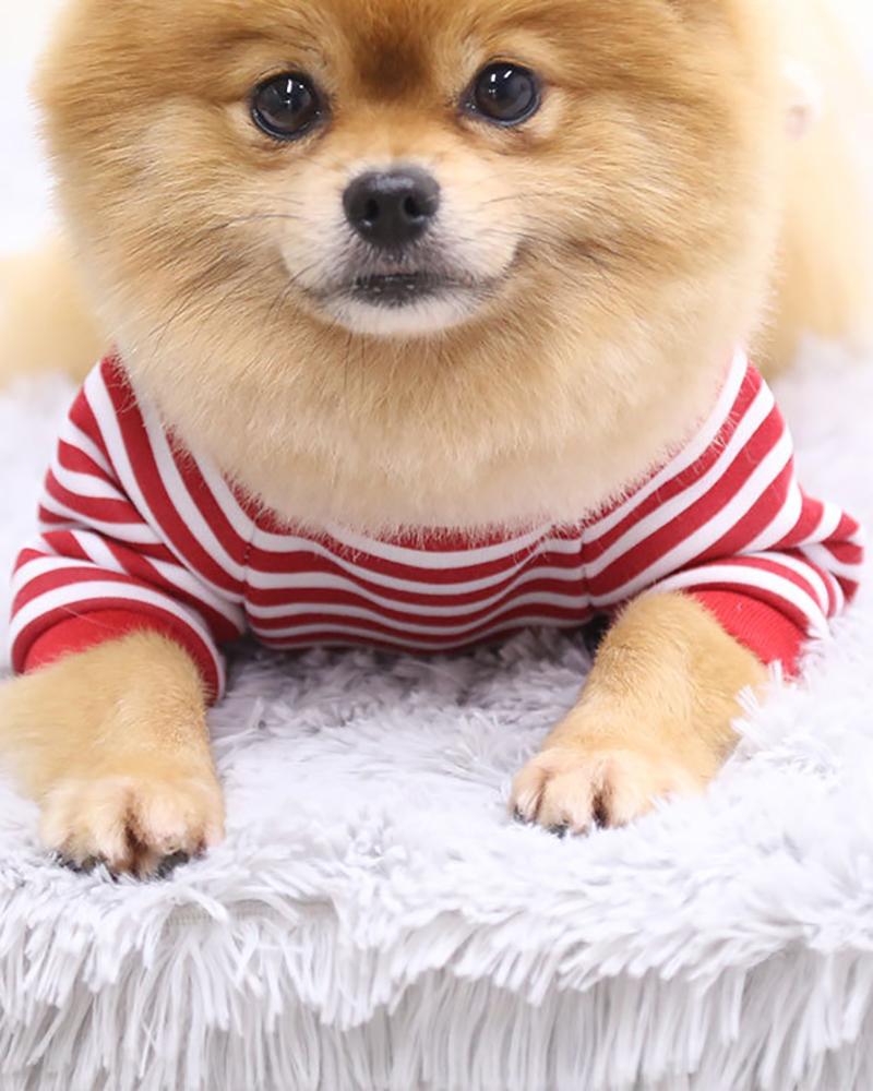 

Cartoon Bear Decor Pet Sweatshirt, Red