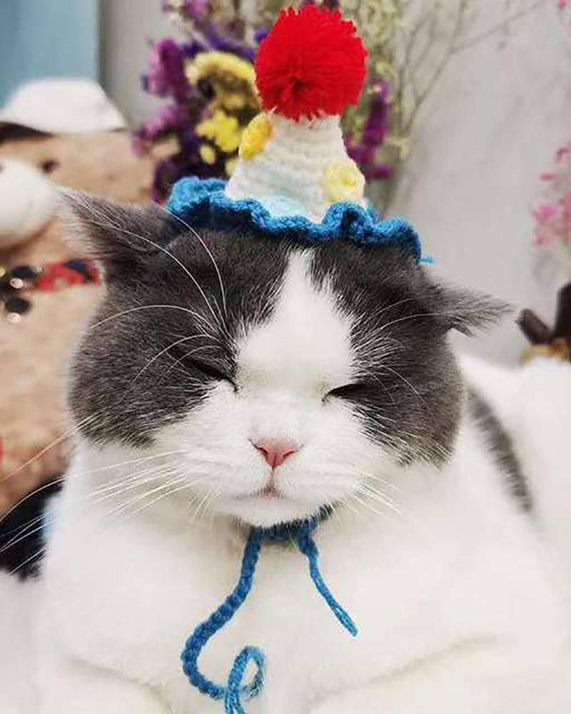 

Crochet Hat With Pom Pom Funny Pet Accessories Sweet Pet Costume Headdress, Blue