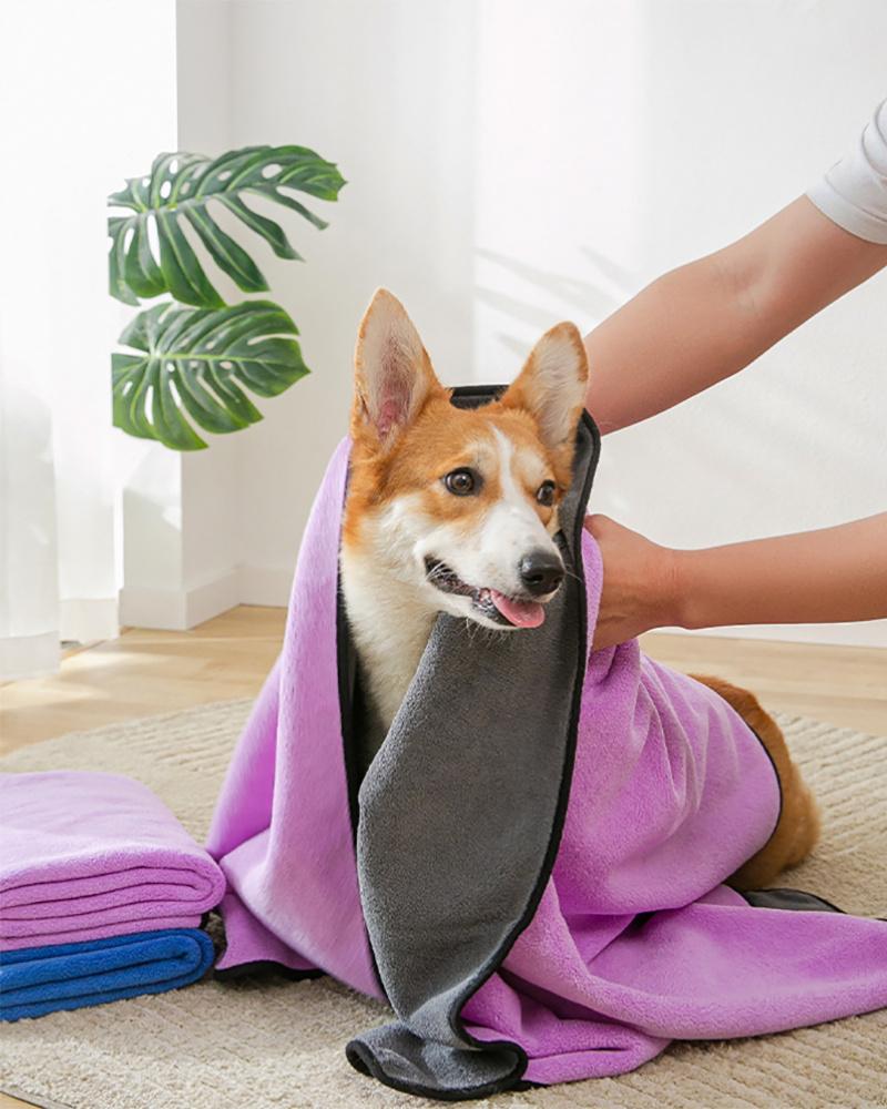 

Contrast Binding Pet Absorbent Bathing Towel, Purple