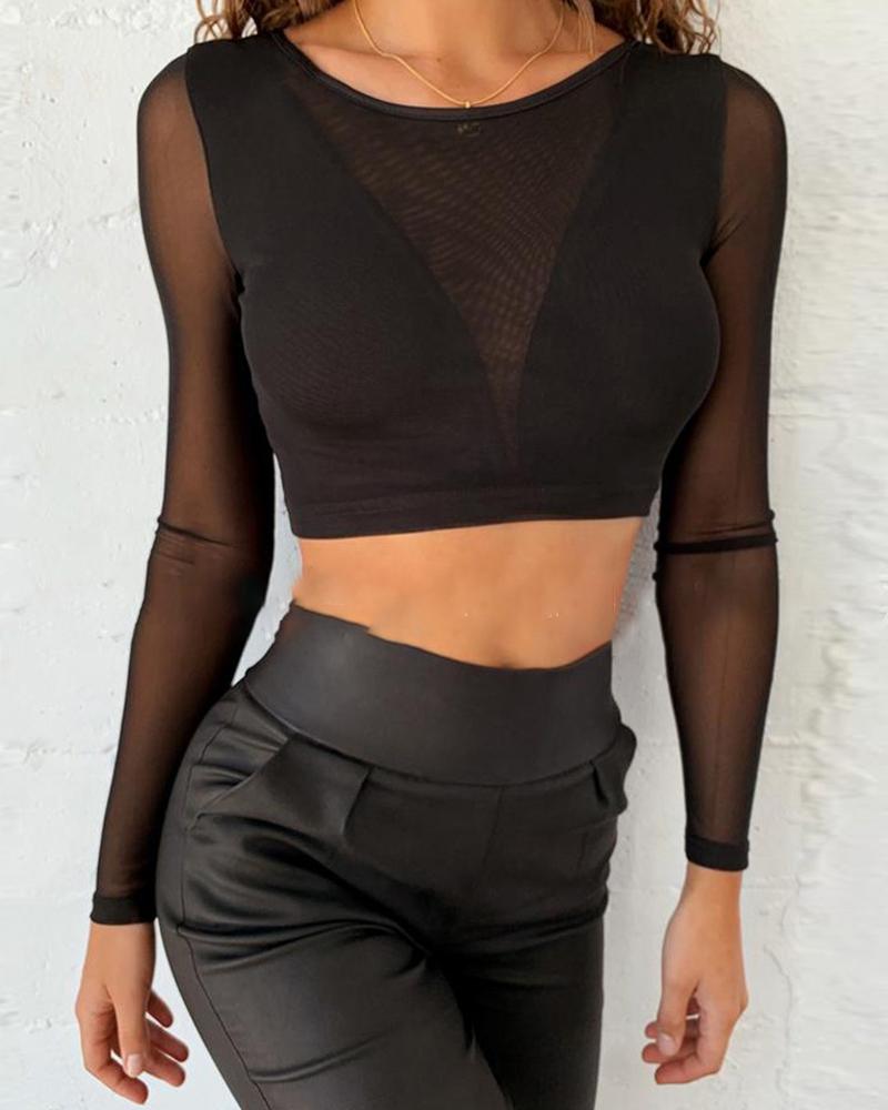 

Sheer Mesh Long Sleeve O Neck Top, Black