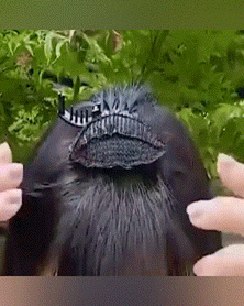 

Puff Hair Head Cushion Hairpin Clip, Black