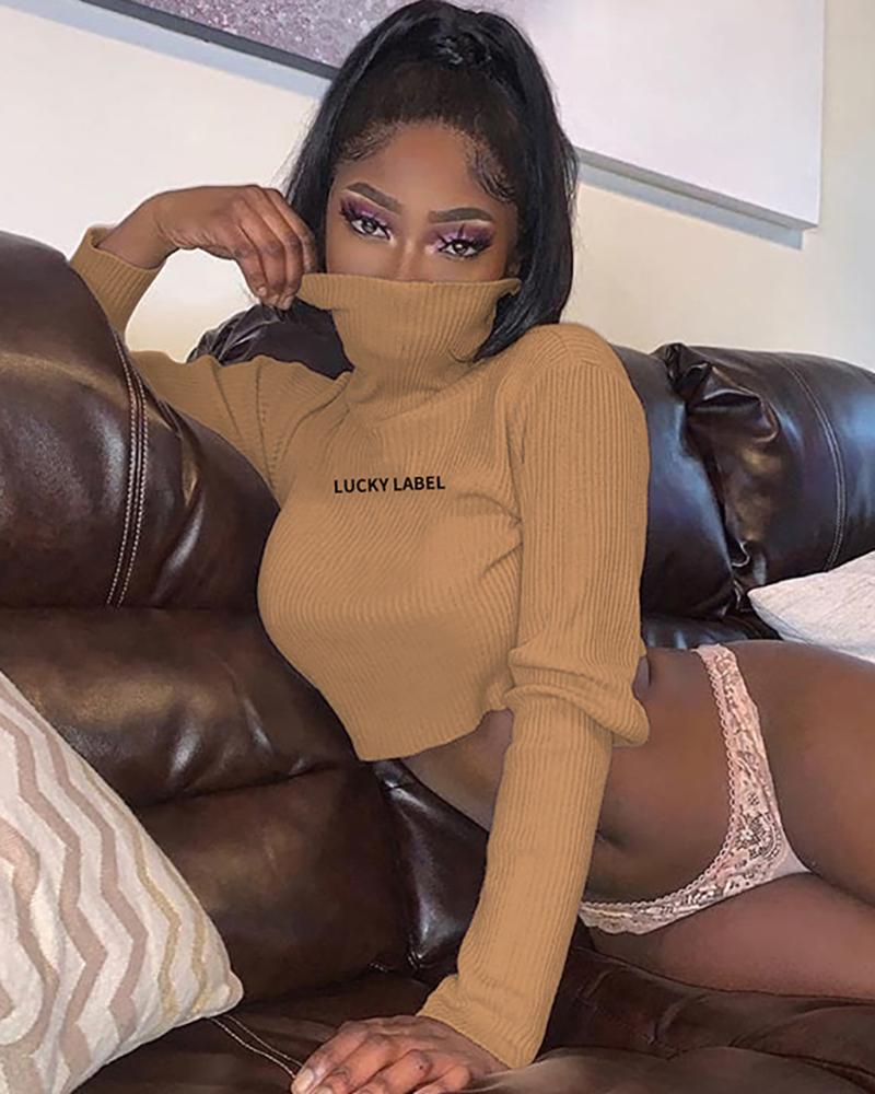 

Letter Embroidery Long Sleeve Crop Top, Brown