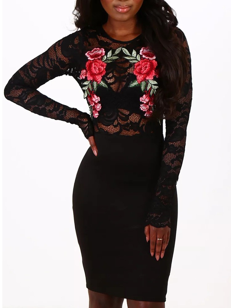 See Through Embroidered Lace Bodycon Dress