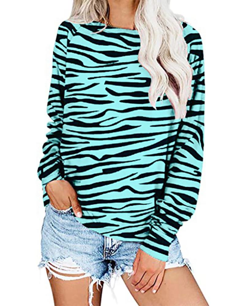 

Zebra Stripe Pattern Print Long Sleeve Casual Top, Turquoise blue