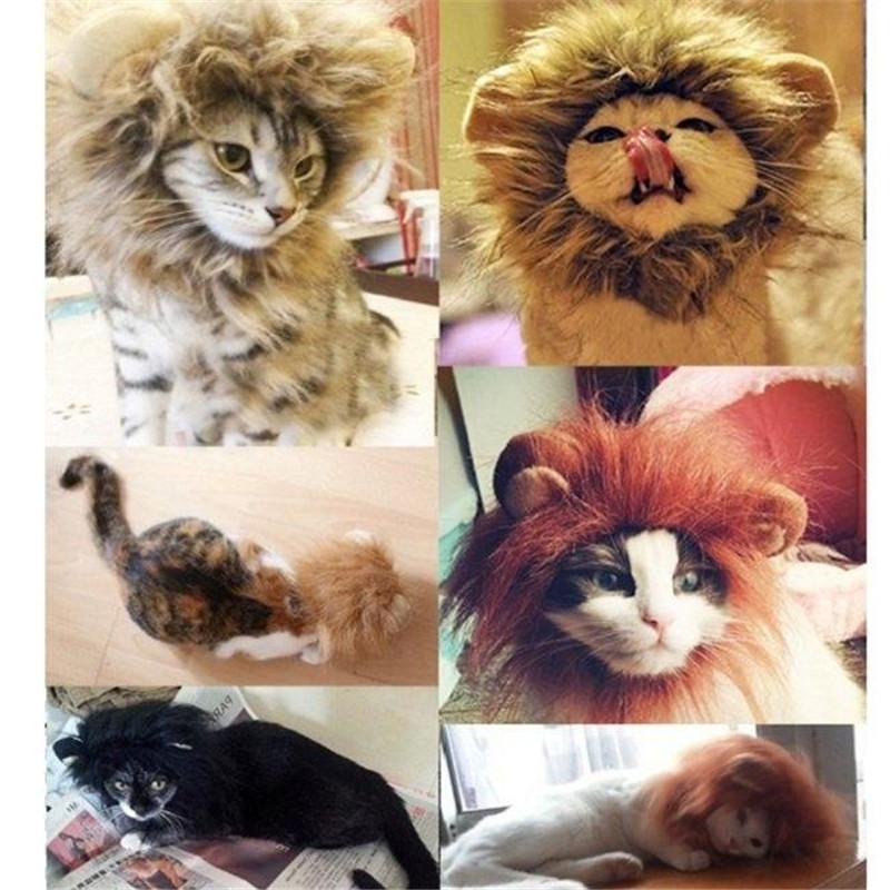 

Lion's Mane Cat Hat Hair Cat's Toy Like Lion Stuffed Plush Pet Toy 3 Colors, White