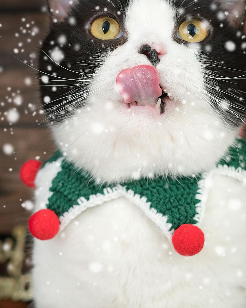 

Christmas Pom Pom Knit Cat Bib, Green