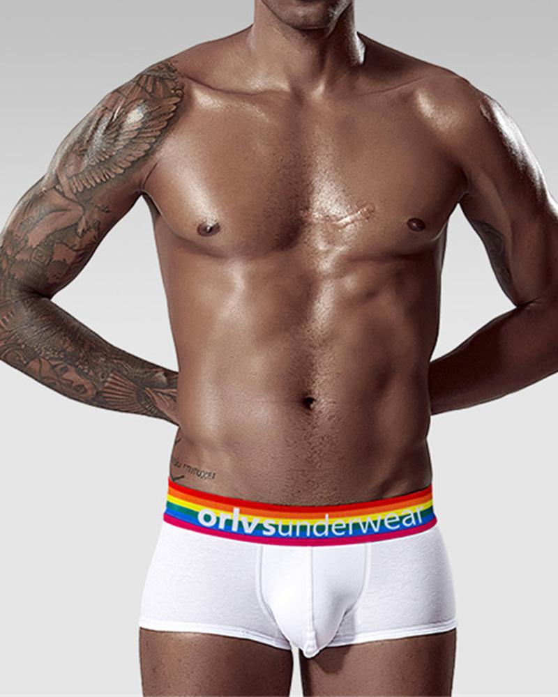 

Solid Color Side Rainbow Striped & Letter Print Low Waist Underpants, White
