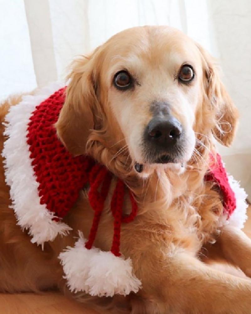 

Christmas Outfit Scarf Dogs Cape Pet Costume Cosplay Clothes, Red