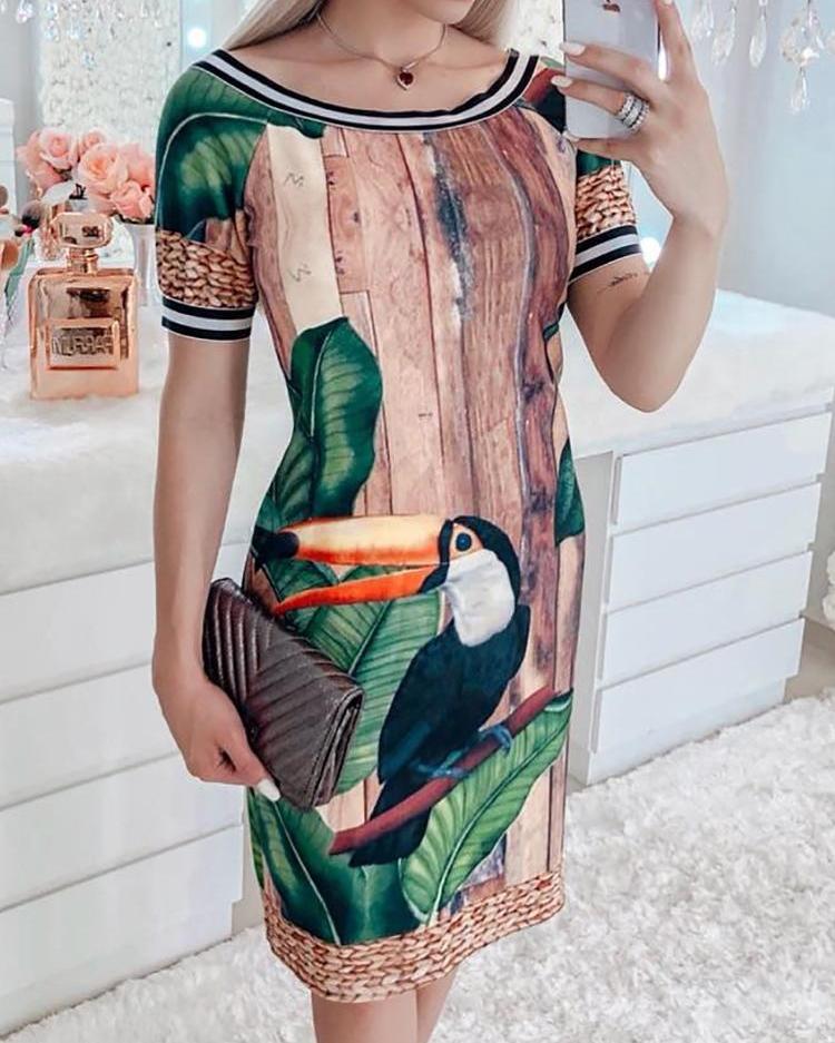 

Birds Print Stripes Binding Casual Dress, Green