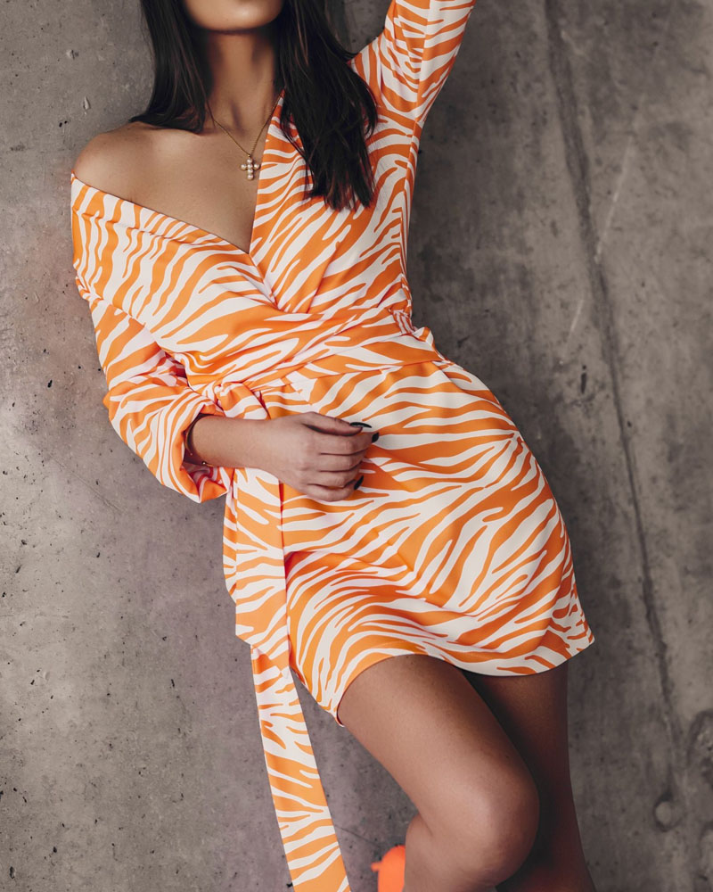 

Zebra Stripe Print Long Sleeve Belted Dress, White