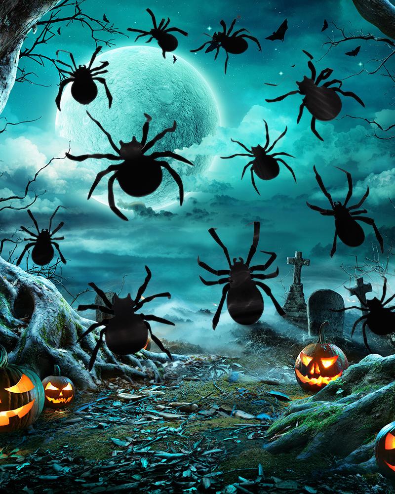 

Halloween Decorations Extra Large Scary Spider Wall Decal Window Decor Party Supplies 12pcs, Style1