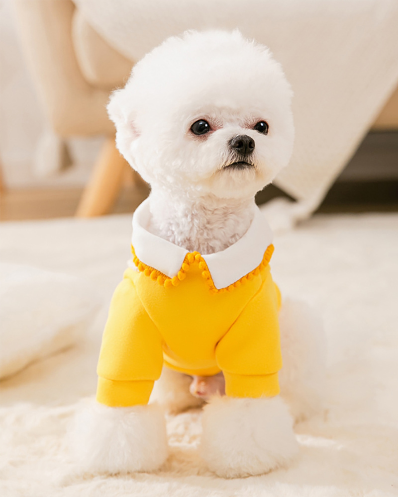 

Pet Sweater Lapel Design Easy to Match Unisex Pet Winter Two-legged Clothing for Small Dog, Yellow