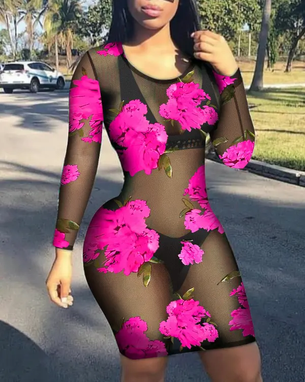 Contrast Sheer Mesh Bodycon Dress